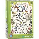  Puzzle 1000 El. Motyle Eurographics