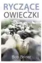 Ryczące Owieczki