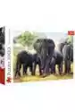 Trefl Puzzle 1000 El. Afrykańskie Słonie