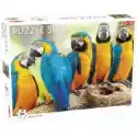  Puzzle 500 El. Animal. Parrots Tactic