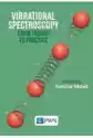 Vibrational Spectroscopy. From Theory To Applications