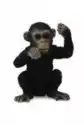 Collecta Szympans Młody Myślący S