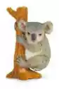 Miś Koala Wspinający Się