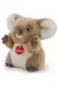 Dante Plusz Koala