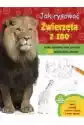 Jak Rysować. Zwierzęta W Zoo
