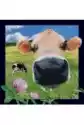 Pocztówka 3D Krowa