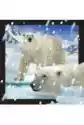 Worth Keeping Magnes 3D Niedźwiedzie Polarne W Śniegu