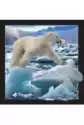 Magnes 3D Niedźwiedź Polarny W Skoku