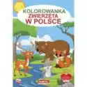 Kolorowanka Zwierzęta W Polsce 