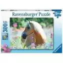 Ravensburger  Puzzle 300 El. Koń Ravensburger