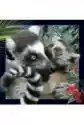 Pocztówka 3D Lemur