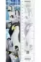Zakładka 3D Pingwiny