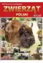Ilustrowana Encyklopedia Zwierząt Polski