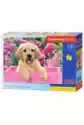 Puzzle 300 El. Labrador Puppy In Pink Box