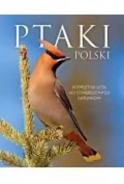 Ptaki Polski