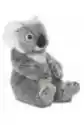 Wwf Plush Collection Koala 22 Wwf