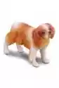 Collecta Pies Spaniel Cavalier King Charles