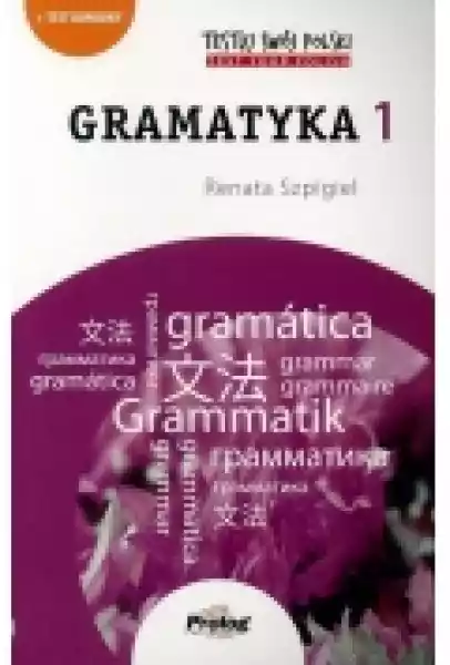 Testuj Swój Polski Gramatyka 1 A1-A2