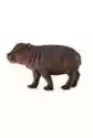 Młody Hipopotam Karłowaty