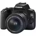Canon Aparat Canon Eos 250D + Obiektyw Ef-S 18-55 Mm F/3.5-5.6 Dc Iii