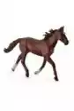 Collecta Ogier Standardbred Pacer Kasztanowy