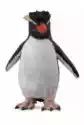 Pingwin Rockhooper