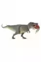 Dinozaur Tyrannosaurus Rex Z Ofiarą