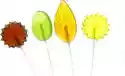 Lizak Z Ksylitolem Owocowy 10G Lollipop Friut Aka