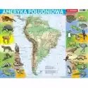 Demart  Puzzle Ramkowe 72 El. Ameryka Południowa Mapa Fizyczna Demart