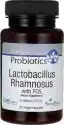 Swanson Health Products Lactobacillus Rhamnosus With Fos 5 Billion Cfu 60 Kapsułek Swans
