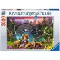 Ravensburger  Puzzle 3000 El. Dzika Natura Z Kwiatami Ravensburger