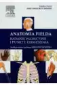 Anatomia Fielda. Badanie Palpacyjne I Punkty Odniesienia