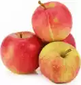 Bio Planet Swieze Opakowanie Zbiorcze (Kg) - Jabłka Na Sok Świeże Bio (Około 5 Kg)