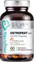 My Vita Proness Ostropest Forte Hepa Protect Standaryzacja Na 80% Sylimaryny I 3