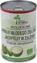 Młody Zielony Jackfruit Kawałki W Zalewie Bio 400 G (220 G) (Pus