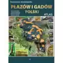  Ilustrowana Encyklopedia Płazów I Gadów Polski 