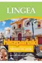 Hiszpański Słowniczek Lingea