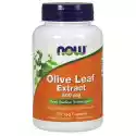 Olive Leaf Extract Standaryzowany Liść Oliwny 500 Mg 120 Kapsułe