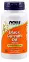 Black Currant Oil Olej Z Czarnej Porzeczki 500 Mg 100 Kapsułek N