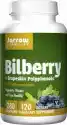 Bilberry I Grapeskin Polyphenols 120 Kapsułek Jarrow Formulas