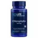 Life Extension Chlorophyllin Chlorofilina 100 Mg 100 Kapsułek Life Extension