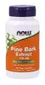 Now Foods Pine Bark Extract Ekstrakt Z Kory Sosny 90 Kapsułek Now Foods