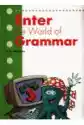 Enter The World Of Grammar 3