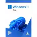 Program Microsoft Windows 11 Professional