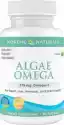 Algi + Omega3 Algae Omega 60 Kapsułek Nordic Naturals