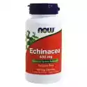 Echinacea Jeżówka Purpurowa 100 Kapsułek Now Foods