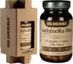 Solherbs Lactobacillus Max 60 Kapsułek - Solherbs