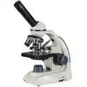 Delta Optical Mikroskop Delta Optical Biolight 500