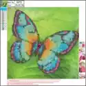 Centrum Centrum Mozaika Diamentowa 5D. Butterfly 89751 30 X 30 Cm
