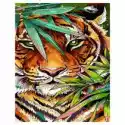 Twoje Hobby Malowanie Po Numerach. Tygrys 40 X 50 Cm